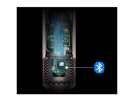 Dyson V11™ Advanced sladdlös skaftdammsugare